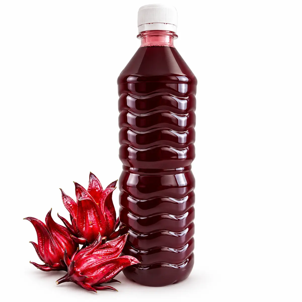 Refresco Natural de Jamaica sin gas (500ml)